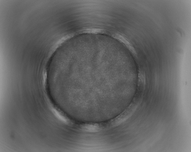 X0000113580110200910161548