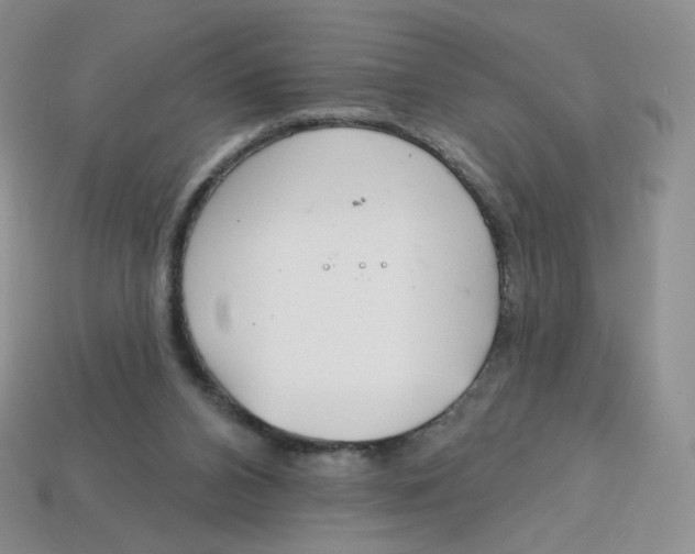 X0000113580112200910161548