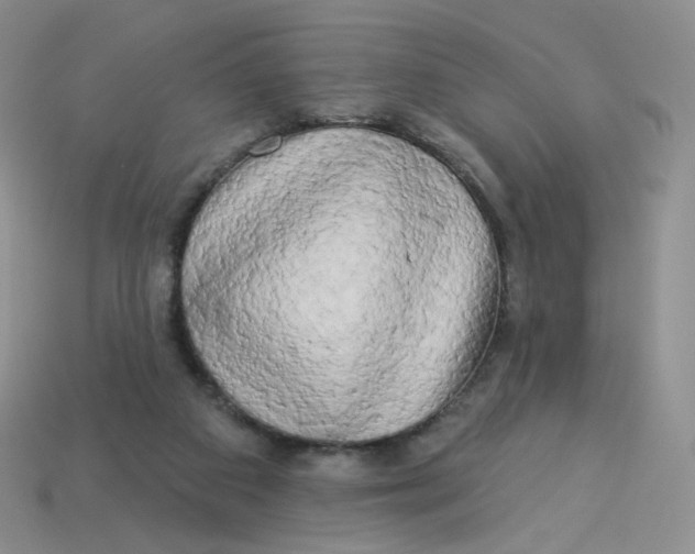 X0000113580113200910161548