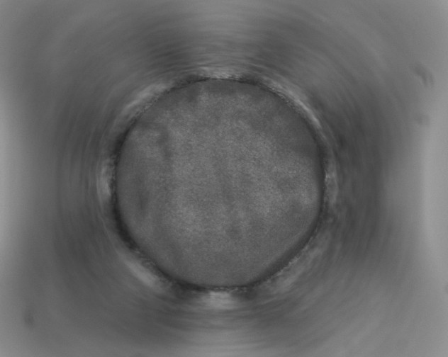 X0000113580114200910161548