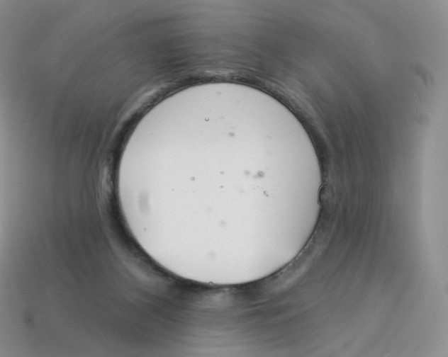 X0000113580116200910161548