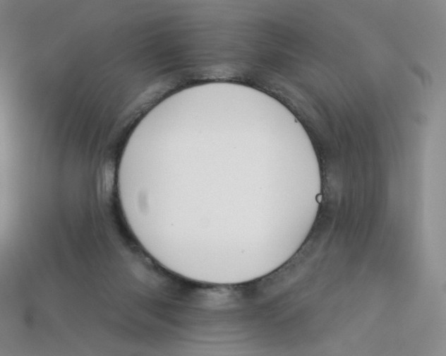 X0000113580118200910161548