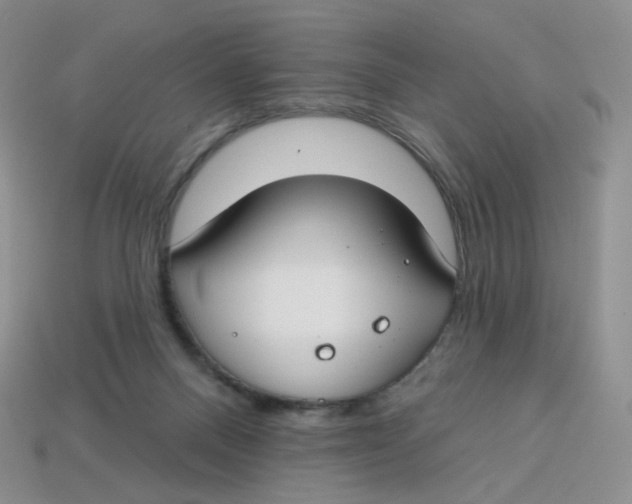 X0000113580120200910161548