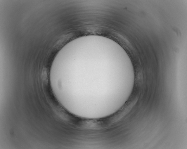 X0000113580121200910161548