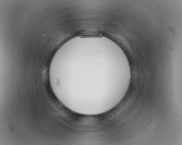 X0000113580123200910161548