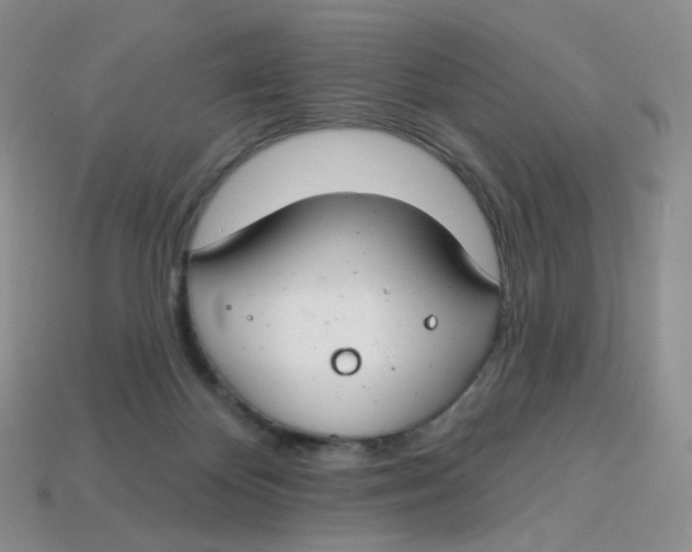 X0000113580124200910161548