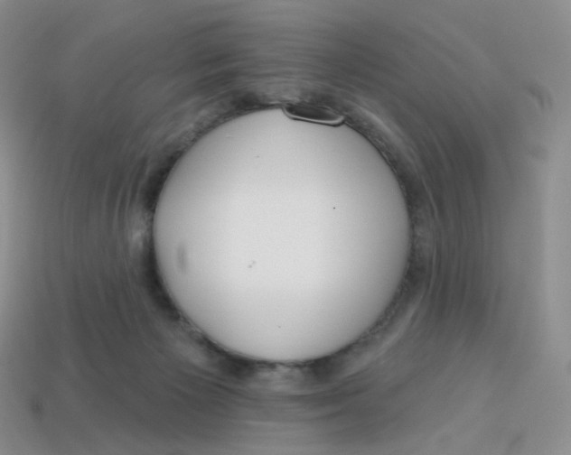 X0000113580125200910161548