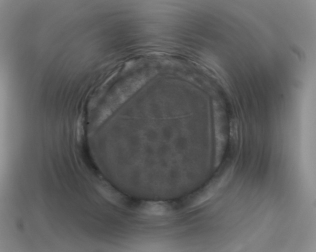 X0000113580127200910161548