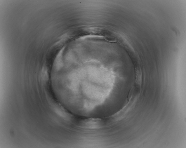 X0000113580128200910161548