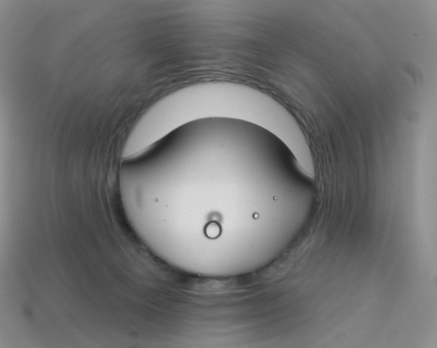 X0000113580129200910161548