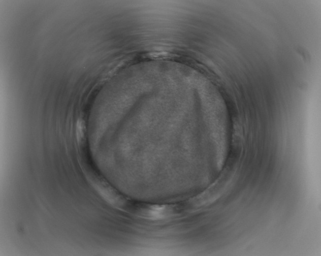 X0000113580130200910161548