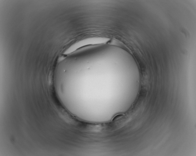 X0000113580131200910161548