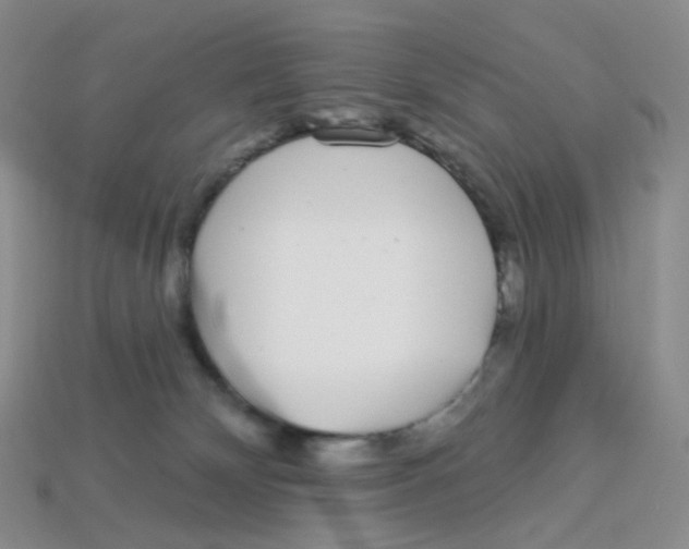 X0000113580132200910161548