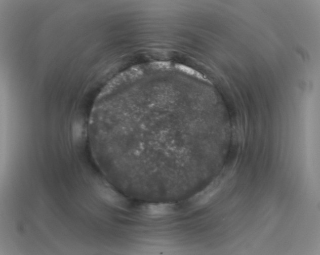 X0000113580134200910161548