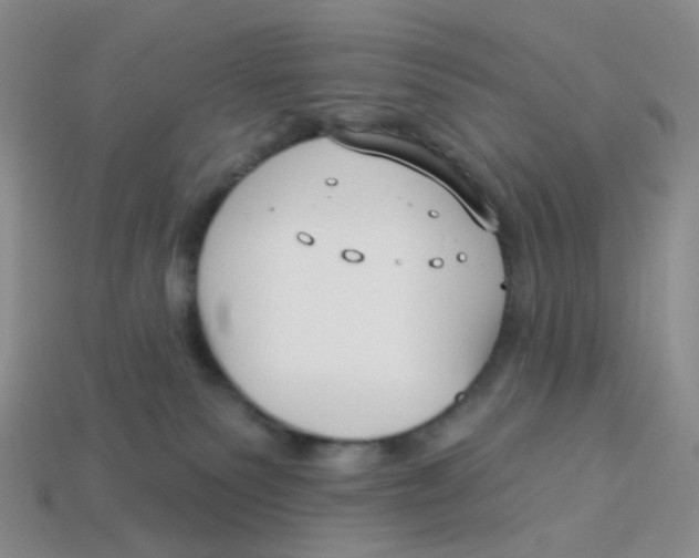 X0000113580135200910161548