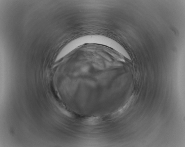 X0000113580136200910161548