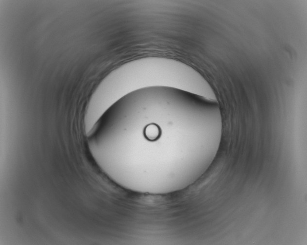 X0000113580137200910161548