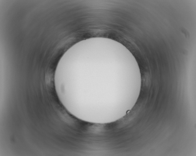 X0000113580138200910161548