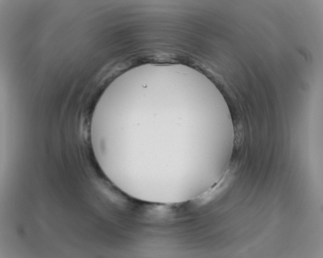 X0000113580140200910161548