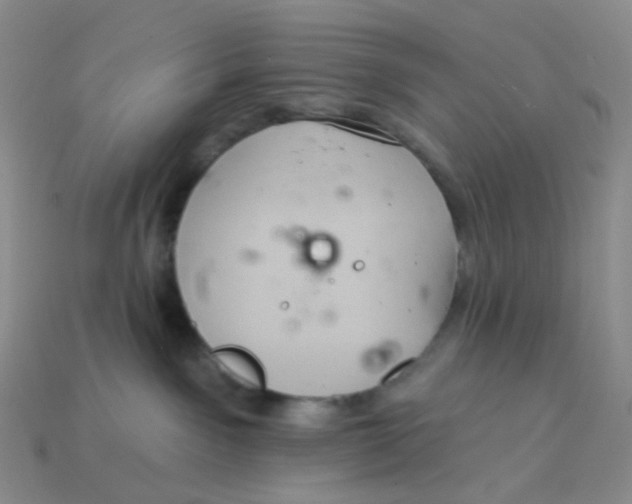 X0000113580141200910161548