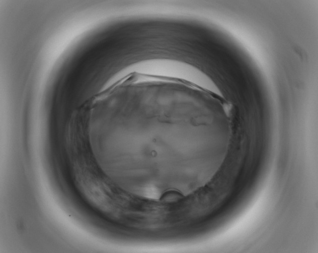 X0000113580143200910161548