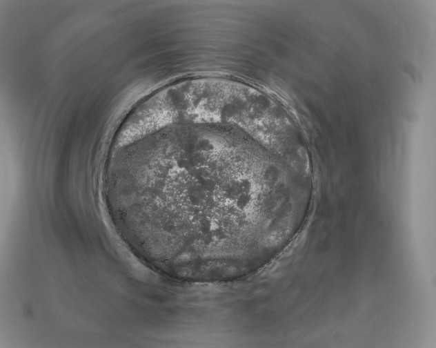 X0000113580145200910161547