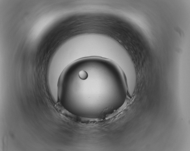 X0000113580146200910161547