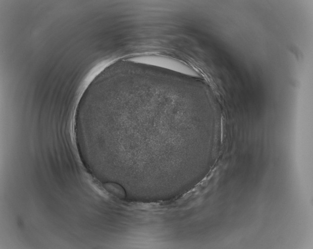 X0000113580147200910161547