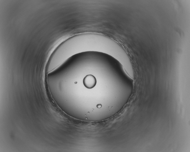 X0000113580148200910161547