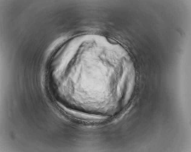 X0000113580149200910161547