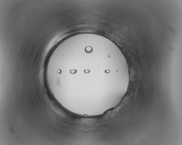 X0000113580150200910161547