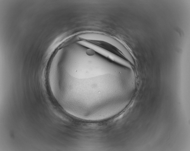 X0000113580151200910161547