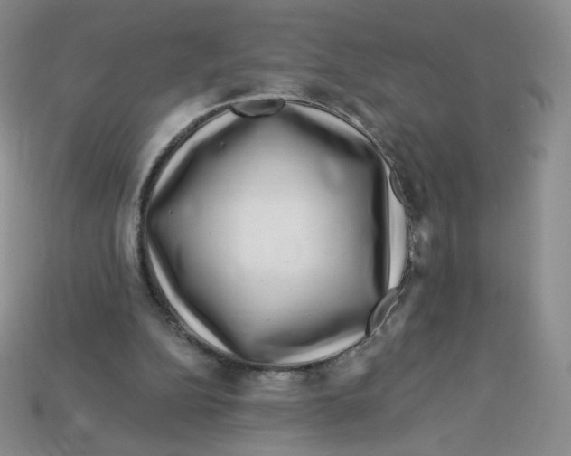 X0000113580152200910161547