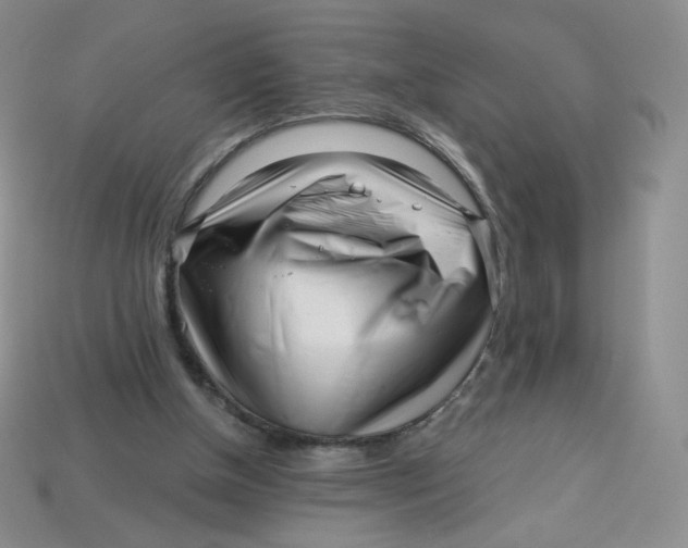 X0000113580154200910161547