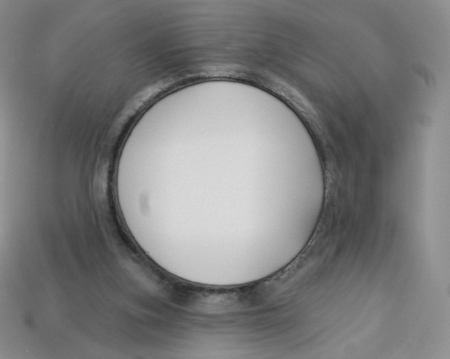 X0000113580155200910161547