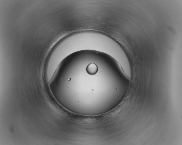 X0000113580156200910161547