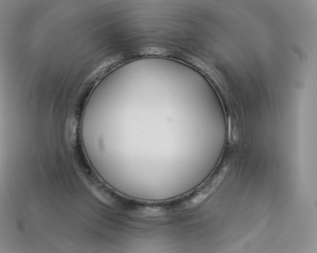 X0000113580157200910161547