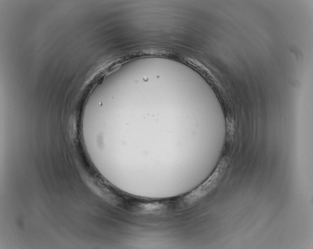 X0000113580158200910161547