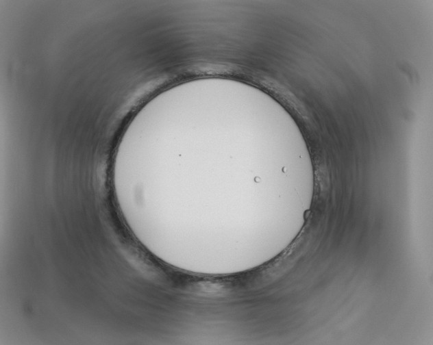 X0000113580159200910161547