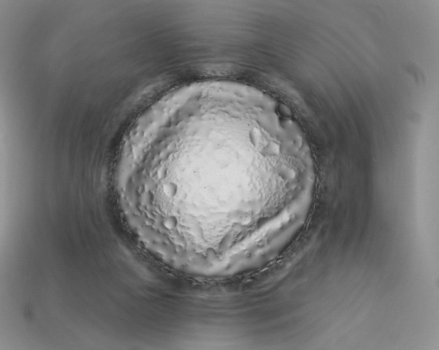 X0000113580161200910161547