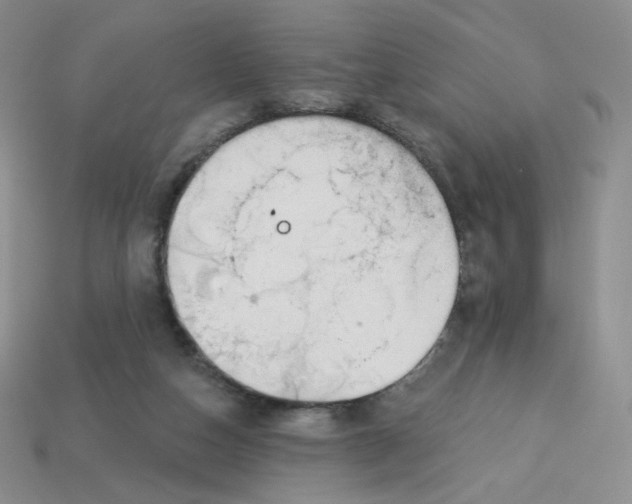 X0000113580162200910161547