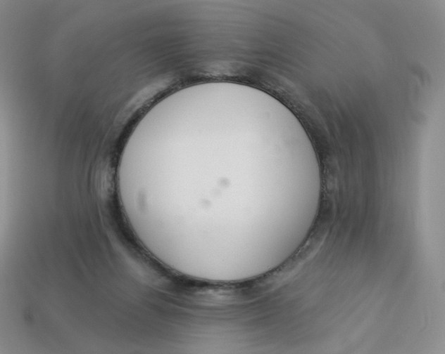 X0000113580164200910161548