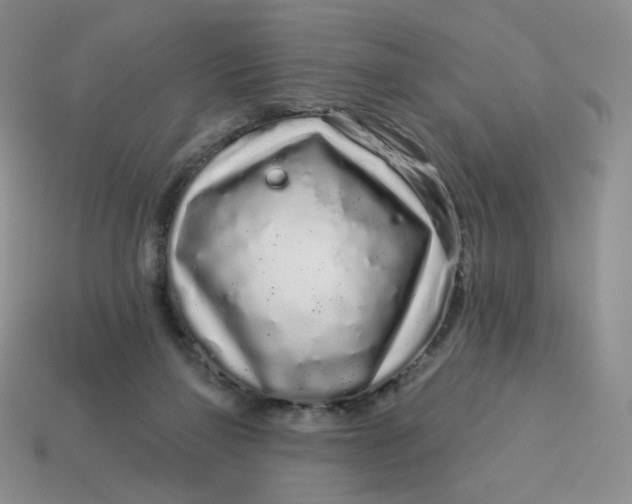 X0000113580165200910161548