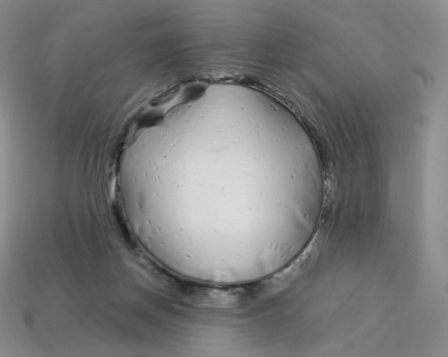 X0000113580166200910161548