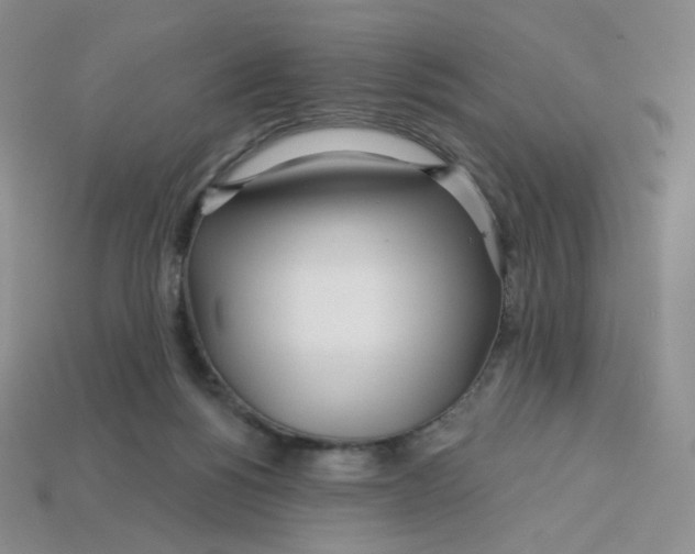 X0000113580168200910161548