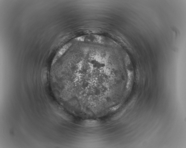 X0000113580169200910161548