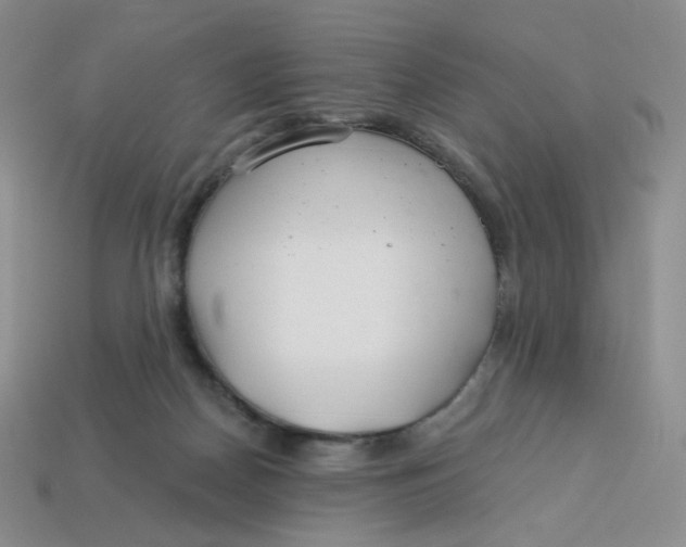 X0000113580170200910161548