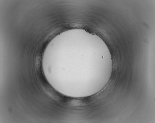 X0000113580171200910161548