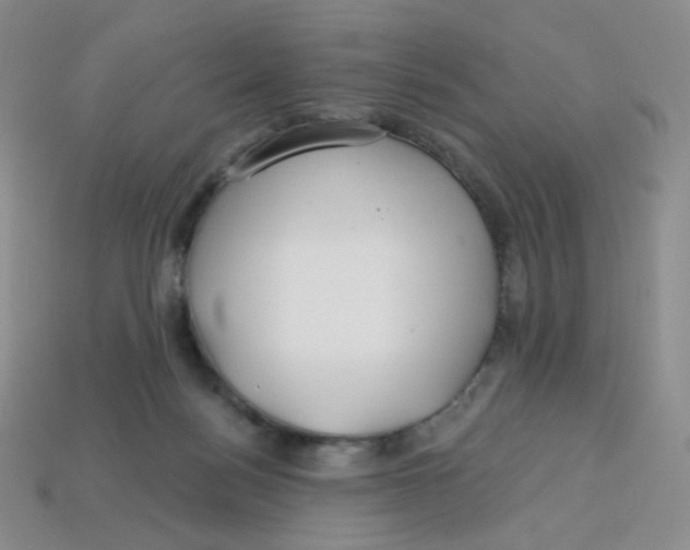 X0000113580172200910161548