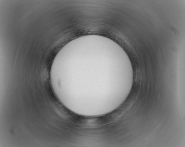 X0000113580173200910161548